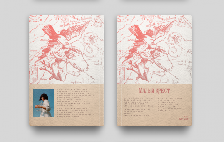 Дизайн обложки книги