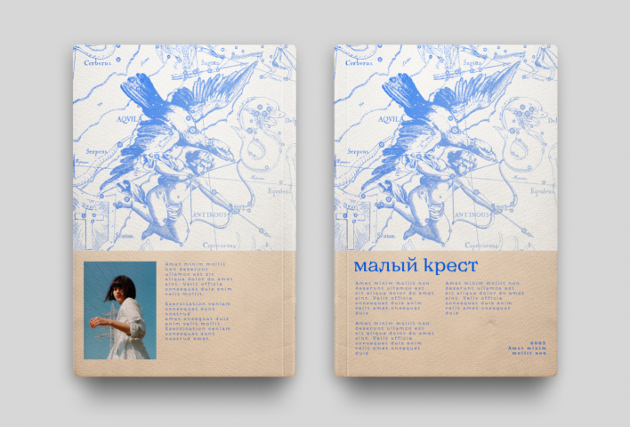 Дизайн обложки книги