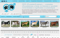 Разработка сайта про бычков