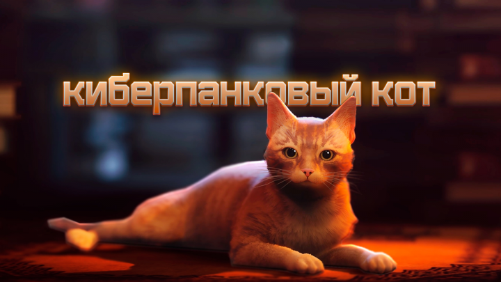 превью