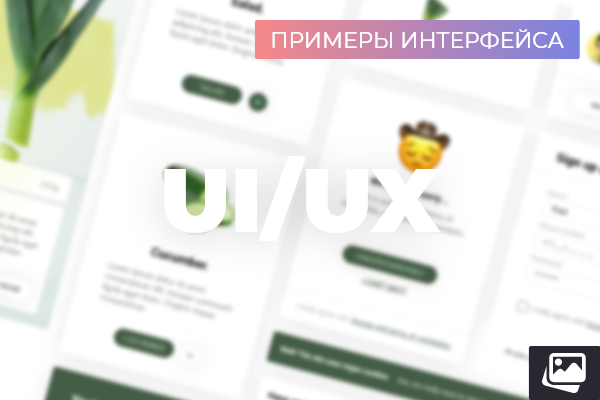 ПРИМЕР ИНТЕРФЕЙСА