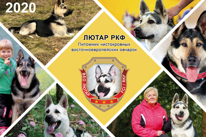 Календарь на 2020 год для ЛЮТАР РКФ