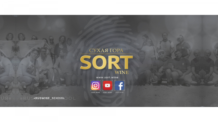 Моушн-дизайн для рекламного ролика SORT.