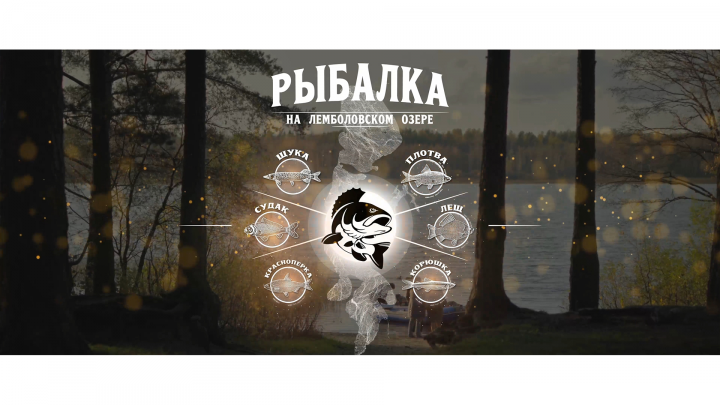 Моушн-дизайн для рекламного ролика.