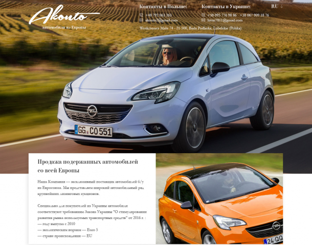 Сайт для польской компании по продаже автомобилей
