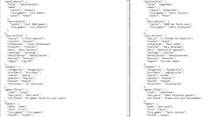 Перевод с английского языка на турецкий язык