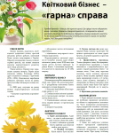 Статья для журнала "Бизнес и франчайзинг" (укр.)