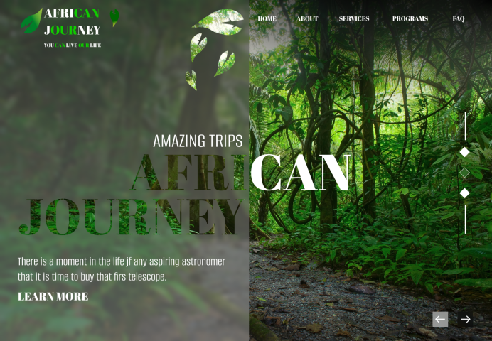 AFRICAN JOURNEY