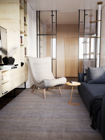 Визуализация 1 комнатной квартиры (1 ракурс)