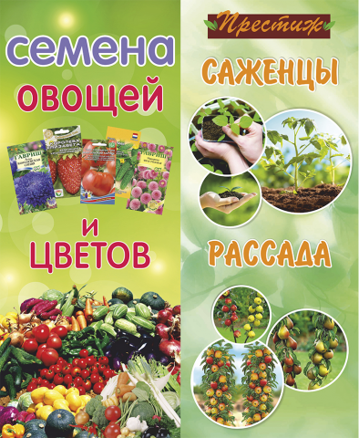 Овощи