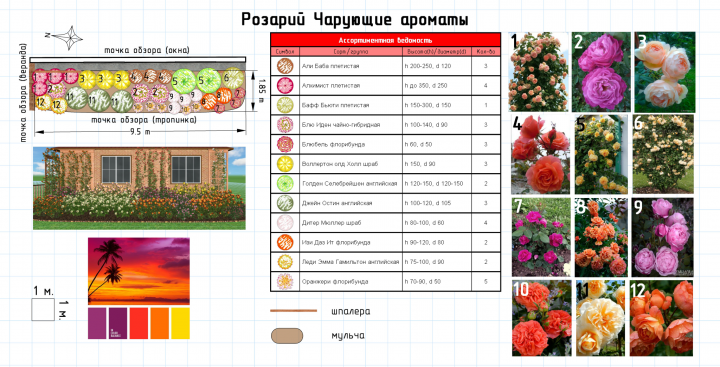 Розарий Чарующий аромат