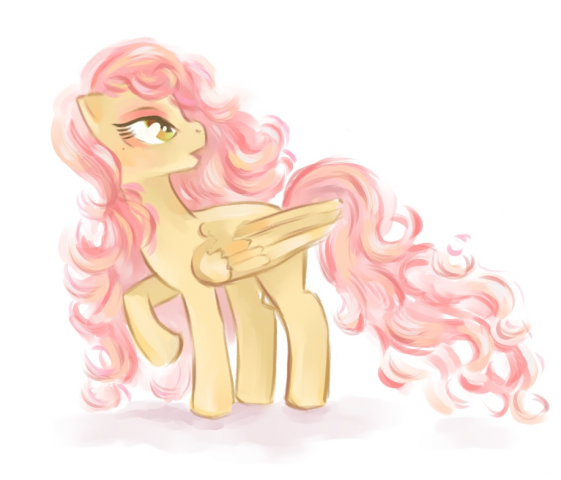 pony2