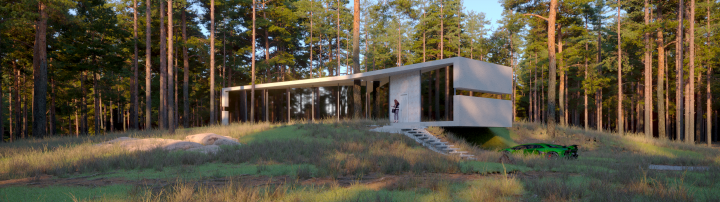 Домик в лесу по мотивам проекта D12 ARCHITECTS