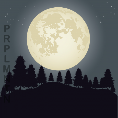 Vector Moon