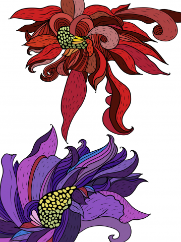 Для приложения(раскраска)