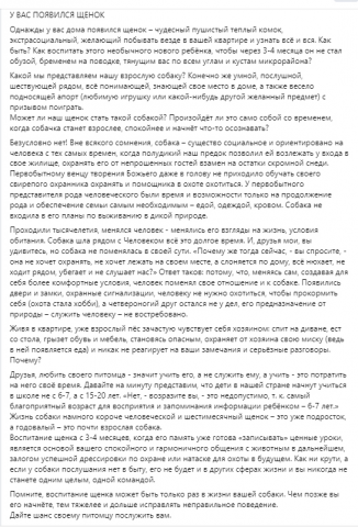 Эссе на кинологическую тему