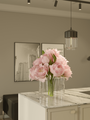 Кухня-гостиная