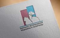Работа 3043567