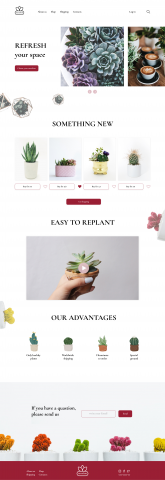 Магазин суккулентов - дизайн сайта