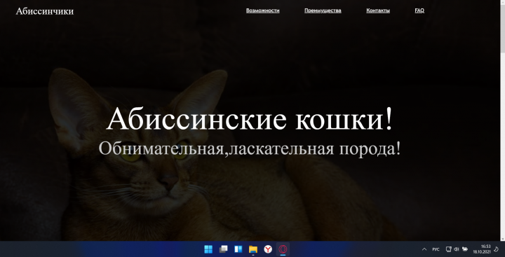 Питомник для кошек