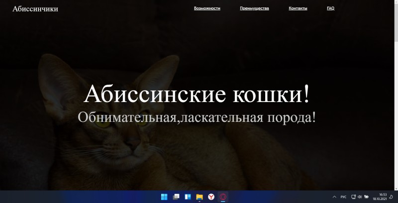 pic4193541.jpg