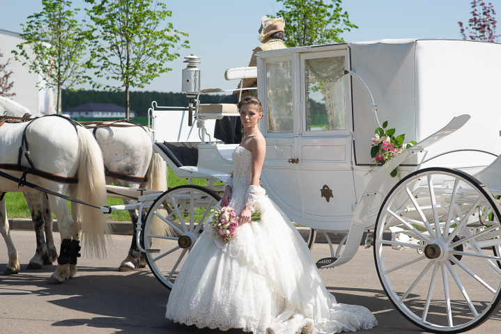 Работа 3670287