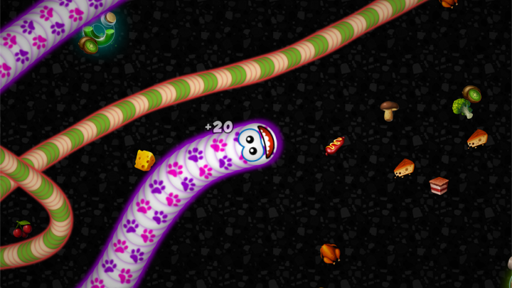 Worms Zone