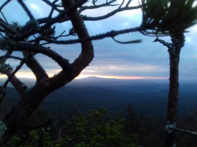 Работа 3552368