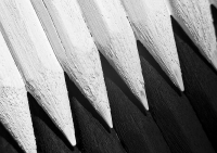 Black and White