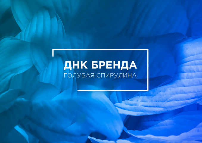 Маркетинговая стратегия для бренда "Спирулина" + нейминг