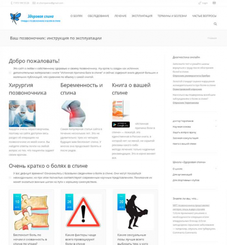 Доработки сайта на Wordpress my-spine.ru