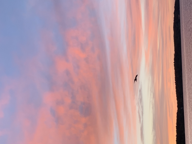 Один
