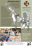 Shorinji Kempo. Единоборства. Постер.