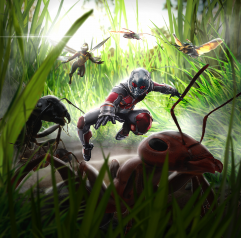 Концепт арт