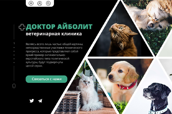 Ветеринарная клиника