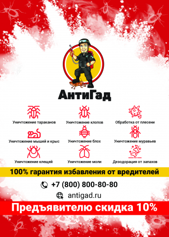 Флаер. АнтиГад