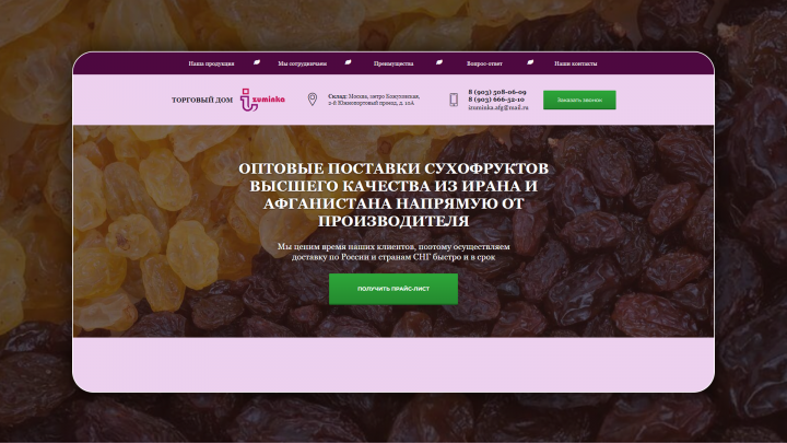 Landing Page для оптовой компании Izuminka