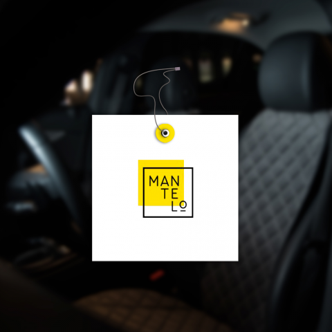Логотип Mantelo
