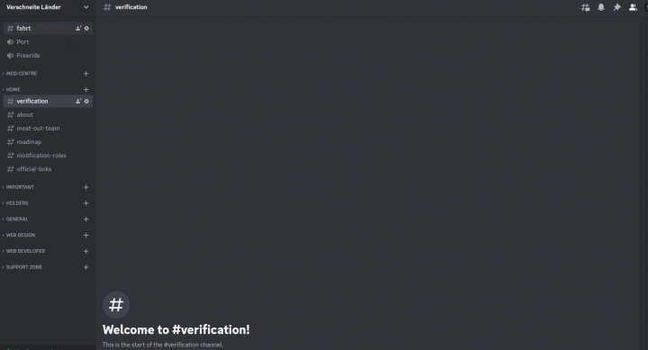 Discord server