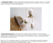 Растения: новый подход