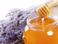 Буклет-каталог "Русский мёд"