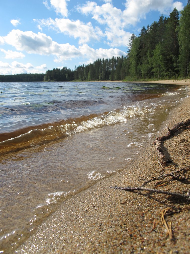 pic751911.jpg