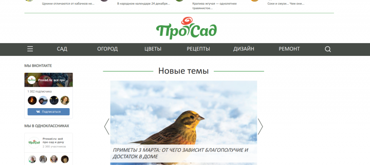 prosad.ru