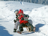 Кататься будем на санях!