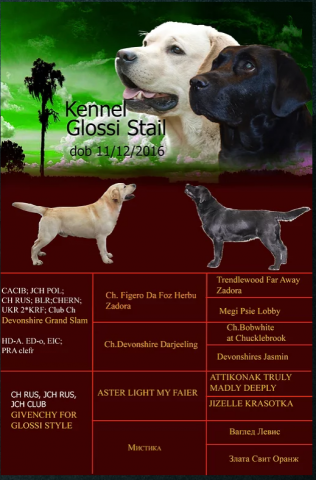 Презентация