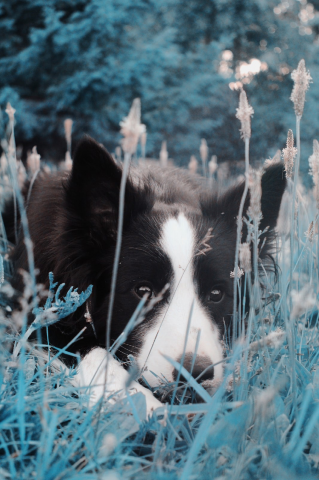 Работа 4426920