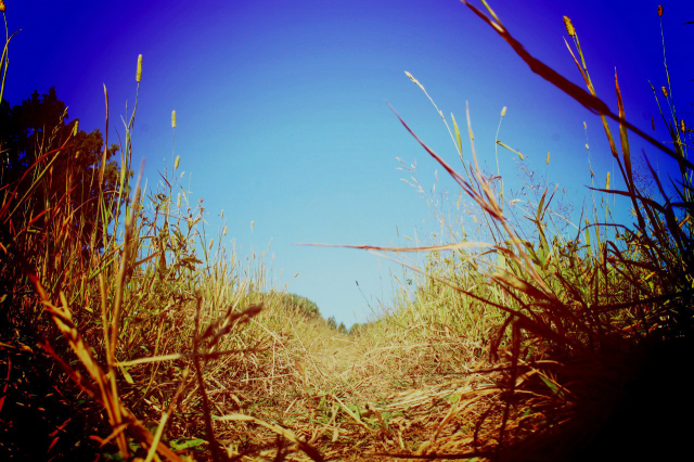 Работа 3317582