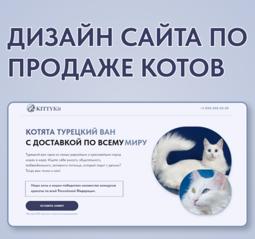 Сайт по продаже породистых котов