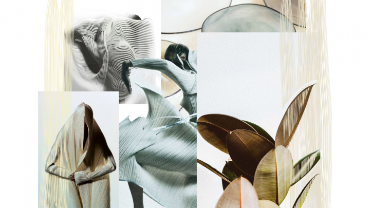 Коллаж "Natural forms"