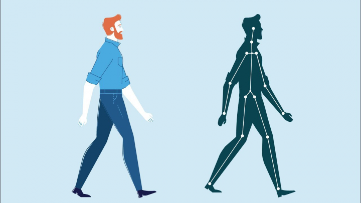 Человекосложение